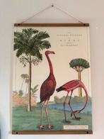 Poster flamingo met houten ophangsysteem, Ophalen of Verzenden, Natuur en Biologie