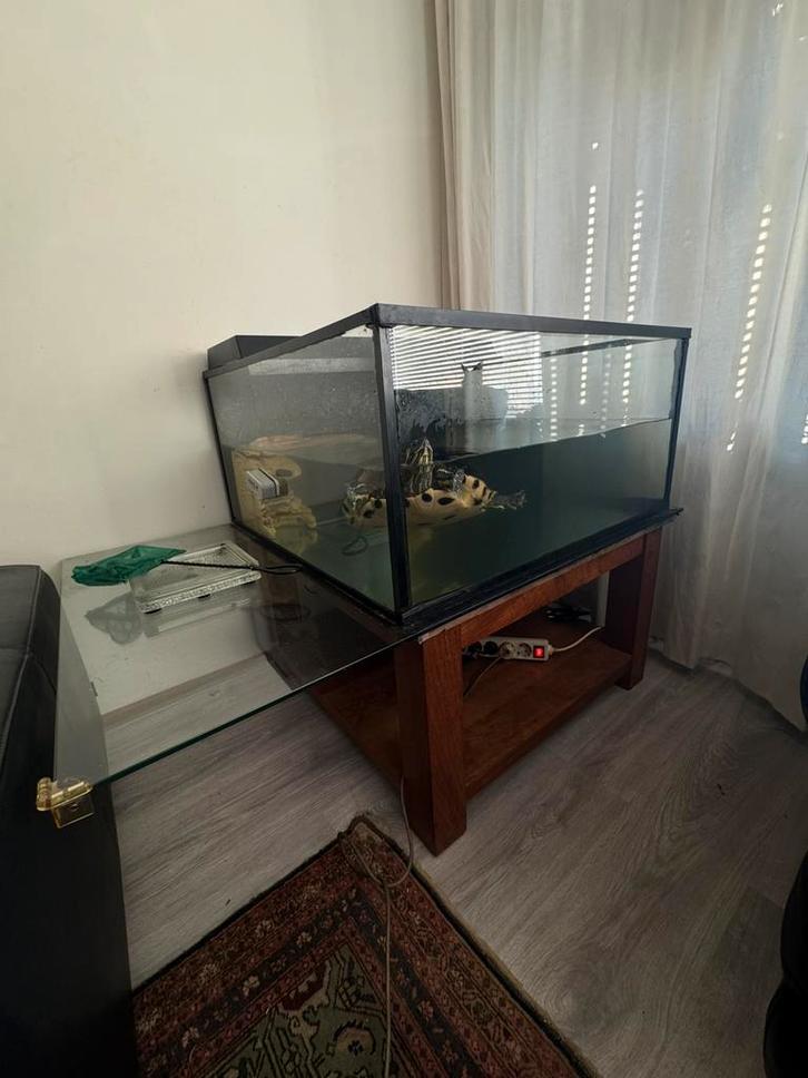 Grote aquarium/vissenbak inclusief statafel., Dieren en Toebehoren, Knaagdieren en Konijnen | Hokken en Kooien, Zo goed als nieuw