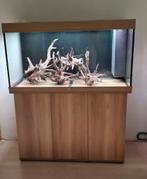 Juwel Rio 350 zgan met unieke extras, Ophalen, Zo goed als nieuw, Leeg aquarium