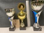Trofeeën/wedstrijdbekers/sportprijzen/bokalen (set 4), Sport en Fitness, Ophalen of Verzenden, Gebruikt