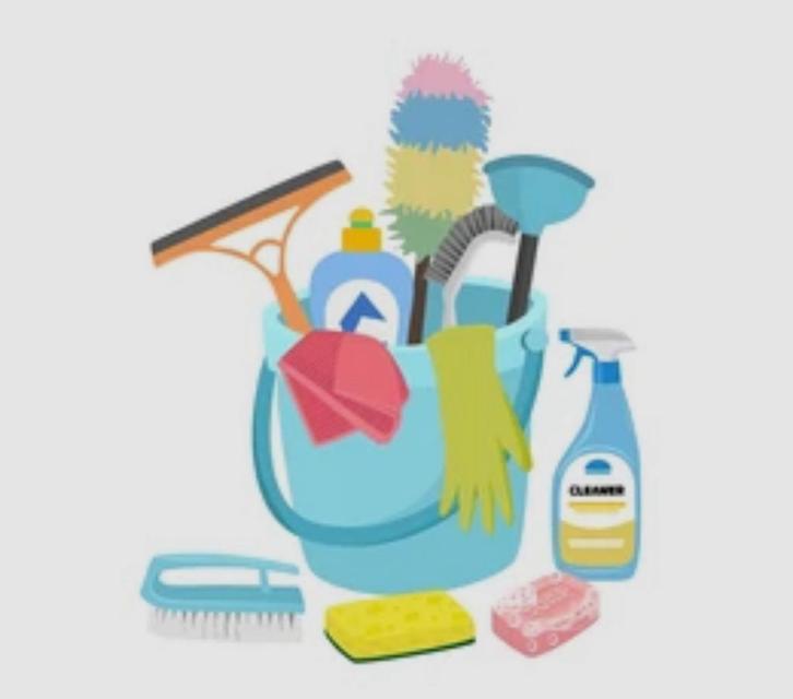 Schoonmaakster aangeboden, Vacatures, Vacatures | Schoonmaak en Facilitaire diensten, MBO, Vanaf 10 jaar, Overige vormen, Overige uren