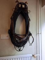 Antiek paardentuig/haam, Dieren en Toebehoren, Paarden en Pony's | Hoofdstellen en Tuigage, Ophalen, Zo goed als nieuw, Overige soorten