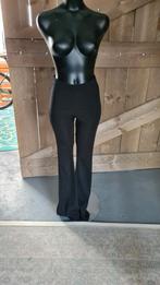 Zwarte legging mt xxs seven sisters, Kleding | Dames, Broeken en Pantalons, Seven Sisters, Zwart, Ophalen of Verzenden, Zo goed als nieuw