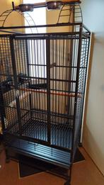Mooie vogel kooi, Dieren en Toebehoren, Vogels | Hokken en Kooien, Ophalen of Verzenden, Zo goed als nieuw