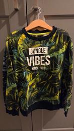 Longsleeve shirts, truien maat 134 - 140, Ophalen, Zo goed als nieuw, Maat 134