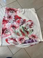 Cane & Cane rok maat L, Kleding | Dames, Rokken, Verzenden, Maat 42/44 (L), Zo goed als nieuw, Cane & Cane