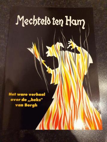 Mechteld ten Ham Het ware verhaal over de heks van Bergh beschikbaar voor biedingen