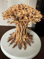 Superfish bonsai mushroom large, Ophalen of Verzenden, Nieuw, Plant(en), Steen of Hout