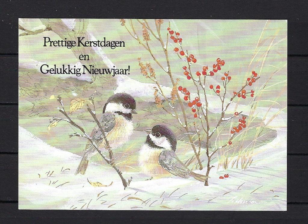 647 VOGELS, prettige kerstdagen, Ophalen of Verzenden, 1980 tot heden, Gelopen, Feest(dag)