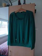 Prachtig shirt maatL travelstof, Kleding | Dames, T-shirts, Maat 42/44 (L), Ophalen of Verzenden, Zo goed als nieuw, Lange mouw