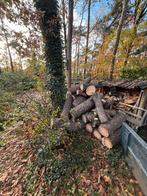 Veel vliegden stamhout en 1 amerikaanse eik, Minder dan 3 m³, Ophalen