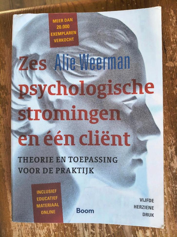Zes psychologische stromingen en één cliënt, Boeken, Psychologie, Gelezen, Ontwikkelingspsychologie, Ophalen of Verzenden