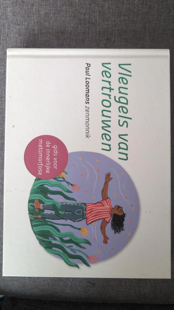 Vleugels van Vertrouwen - Paul Loomans, Boeken, Esoterie en Spiritualiteit, Gelezen, Achtergrond en Informatie, Spiritualiteit algemeen
