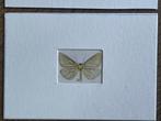 6x DECORATIEF Vlinders! 1910 110 jaar oud. Kirby, Antiek en Kunst, Ophalen of Verzenden