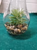 decoratie peer lamp met stenen en plant, Huis en Inrichting, Ophalen of Verzenden, 'T Olde Gre-j, Info@toldegrej.nl, Endepoelstraat 20f Didam