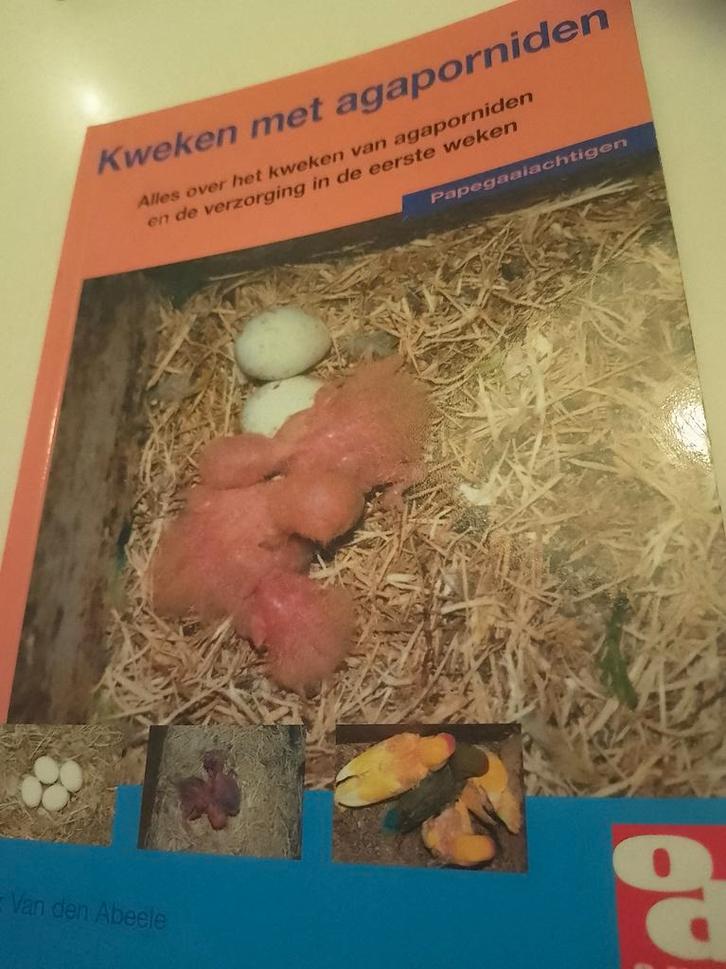 J. Hannes - Kweken met agaporniden, Boeken, Dieren en Huisdieren, Zo goed als nieuw, Ophalen of Verzenden