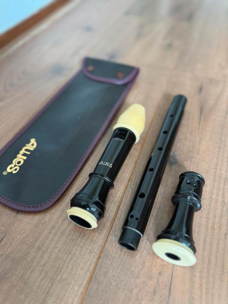 Aulos Blokfluit met Etui, Muziek en Instrumenten, Blaasinstrumenten | Blokfluiten, Gebruikt, Sopraan of Sopranino, Kunststof, Ophalen of Verzenden
