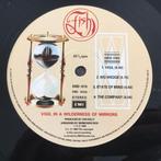 Vinyl LP Fish Vigil In A Wilderness Of Mirrors UK edition, Cd's en Dvd's, Ophalen of Verzenden, Gebruikt, 12 inch, Poprock