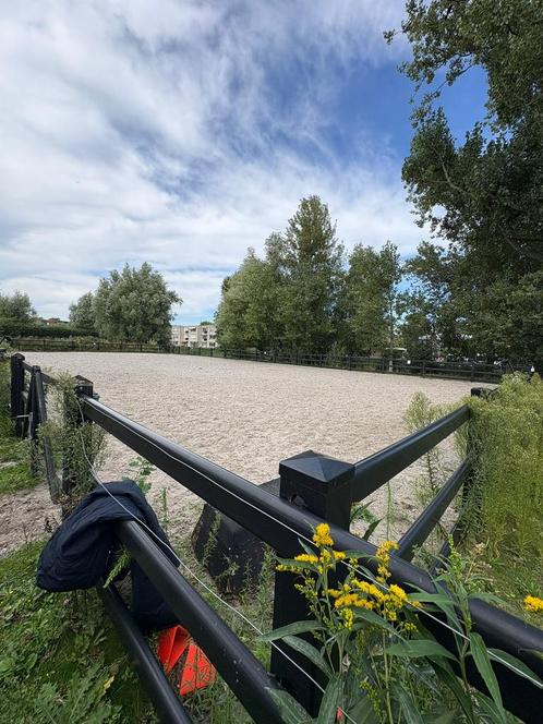 Stalling aangeboden Castricum, Dieren en Toebehoren, Stalling en Weidegang, Weidegang