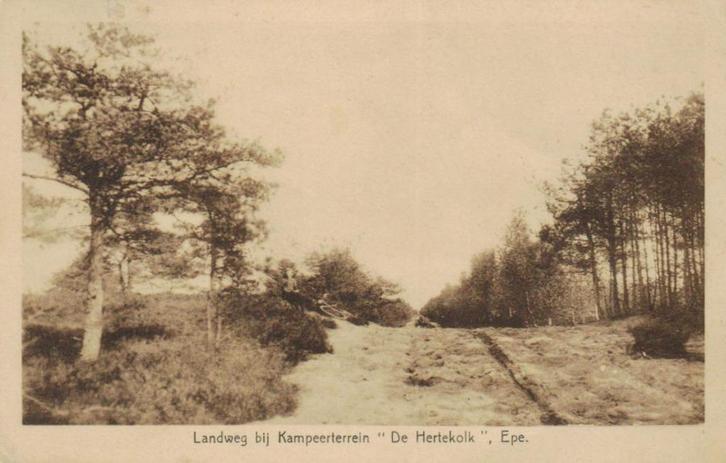 120 Epe Landweg bij Kampeerterrein De Hertekolk 1934, Verzamelen, Ansichtkaarten | Nederland, Gelopen, Gelderland, 1920 tot 1940