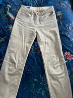Summum broek maat 36.  Met zilveren coating, Ophalen of Verzenden, Zo goed als nieuw, Overige kleuren, W28 - W29 (confectie 36)