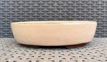 Bonsai schaal ovaal crème geglazuurd aardewerk 22,3x14,3x6 beschikbaar voor biedingen