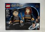 LEGO Harry Potter & Hermelien (76393) – Nieuw in Doos, Ophalen of Verzenden, Nieuw, Complete set, Lego