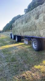 Kleine pakken balen hooi, Ophalen of Verzenden