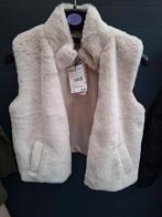 Bodywarmer nieuw, Ophalen of Verzenden, Nieuw