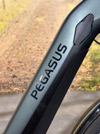 Pegasus Ravenna elektrische fiets met BOSCH middenmotor!, Ophalen of Verzenden, Zo goed als nieuw, 50 km per accu of meer, Overige merken