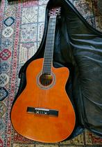 Klassieke Spaanse gitaar, Ophalen of Verzenden, Gebruikt, Klassieke of Spaanse gitaar, Met koffer