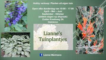 Planten, tuinplanten, buiten planten hobby verkoop uit eigen