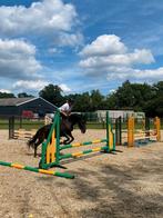 Zeer brave en 100% gezonde Merrie "Negra"  9 jaar oud, Dieren en Toebehoren, Paarden, Merrie, Minder dan 160 cm, B, Dressuurpaard