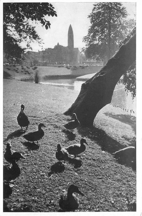 (388-416-029) Driebergen-Rijsenburg De Wildbaan, Verzamelen, Ansichtkaarten | Nederland, Utrecht, Verzenden
