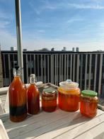 Scoby Kombucha, Ophalen