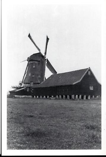 (ZS236) Ansichtkaart Tanger nr.280 Zaandam molen De Kwak