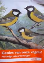 TNT Post Geniet onze vogels / koolmees vlinders Envelop, Postzegels en Munten, Postzegels | Volle albums en Verzamelingen, Nederland