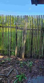 >100 fruitboom palen +/- 230 x 6 cm, Tuin en Terras, Palen, Balken en Planken, Ophalen, Gebruikt, 180 tot 250 cm, Palen