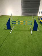 Agility Professionele Sprong Dubbel - 2 Latten - Verstelbaar