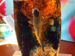 Onderwater (zee/aquarium) diorama in epoxyhars, Ophalen of Verzenden, Zo goed als nieuw, 1:50 of kleiner, Diorama