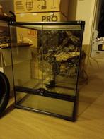 Glazen Terrarium 45x45x60, Dieren en Toebehoren, Reptielen en Amfibieën | Toebehoren, Ophalen