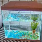 Aquarium, Dieren en Toebehoren, Vissen | Aquaria en Toebehoren, Ophalen