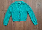 Vest H&M, Ophalen of Verzenden, Zo goed als nieuw, Meisje, Trui of Vest