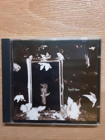 Robert Deeble - Days Like These  beschikbaar voor biedingen