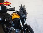 Moto Guzzi Stelvio PFF Rider Assistance Solution (bj 2025), Bedrijf, 1000 cc, Toermotor