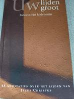Uw lijden groot Jod van Lodenstein, Boeken, Jod van Lodenstein, Christendom | Protestants, Ophalen of Verzenden, Zo goed als nieuw