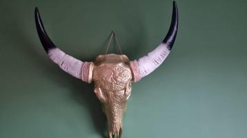 Indian Bull Hoorn    63 cm breed.