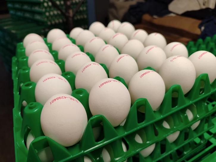 Verse 100% Biologische eieren, Diversen, Levensmiddelen, Ophalen