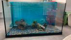 Aquarium met steentjes, diverse accessoires, Dieren en Toebehoren, Vissen | Aquaria en Toebehoren, Ophalen of Verzenden, Gebruikt