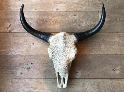 Skull Dierenschedel Longhoorn Skulls Longhoorns dierenkop, Huis en Inrichting, Woonaccessoires | Wanddecoraties, Nieuw, Verzenden